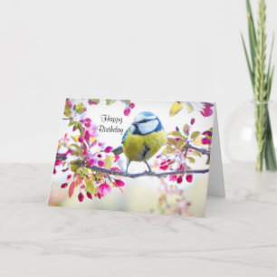 Carte Joli oiseau bleu et jaune sur une branche Photogra