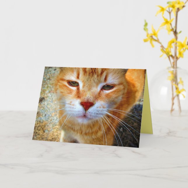 Carte Joli petit chat roux amical (Fleur jaune)