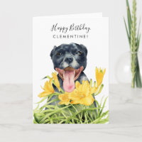 Joli Pitbull Chien Jaune Jardin Floral Anniversair