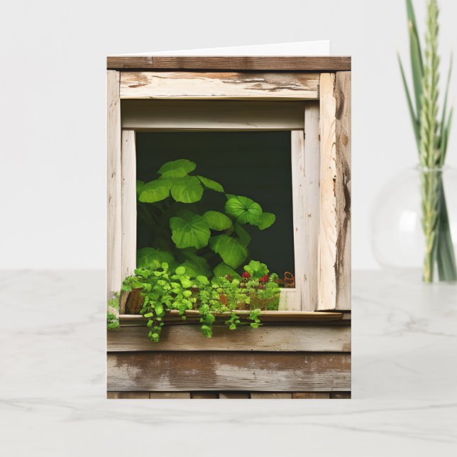 Carte Joli Plante dans une fenêtre rustique Anniversaire (Devant)