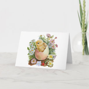 Carte Joli poussin dans la coquille d'oeuf et fleurs à l