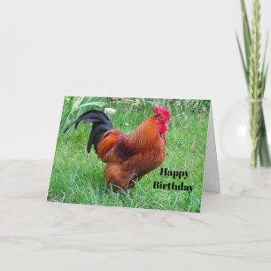 Carte Joli profil de poulet rouge Photo Anniversaire