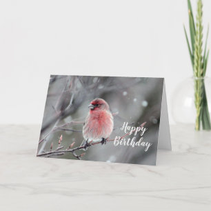Carte Joli Red Finch Photo Anniversaire