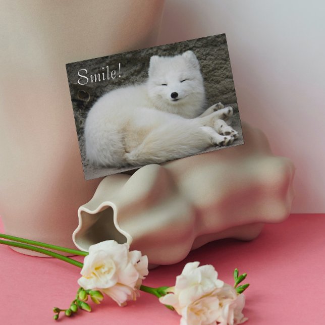 Carte Joli sourire White Arctic Fox Nature Anniversaire (In Situ)