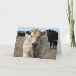 Carte Joli Vétérinaire Félicitations Ranch Farm DVM