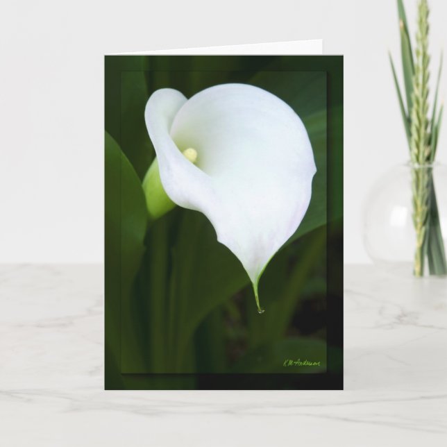 Carte Jolie calla lily (Devant)