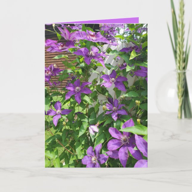 Carte Jolie Clématite Violette Fleurie Vierge (Devant)