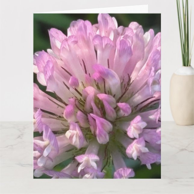 Carte Jolie fleur de trèfle  (Devant)