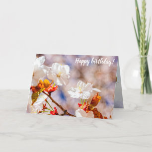 Carte Jolie Fleur Sakura Le Jour Du Printemps