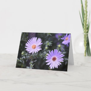 Carte Jolie Fleurs violettes Photographie originale du j