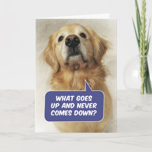Carte Jolie Golden Retriever Drôle Birthday Riddle (Devant)