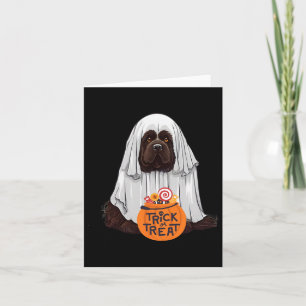 Carte Jolie Halloween Brown de chien de Terre-Neuve