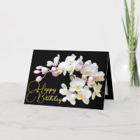 Jolie Orchidées Blanches Noir Contexte Joyeux Anni
