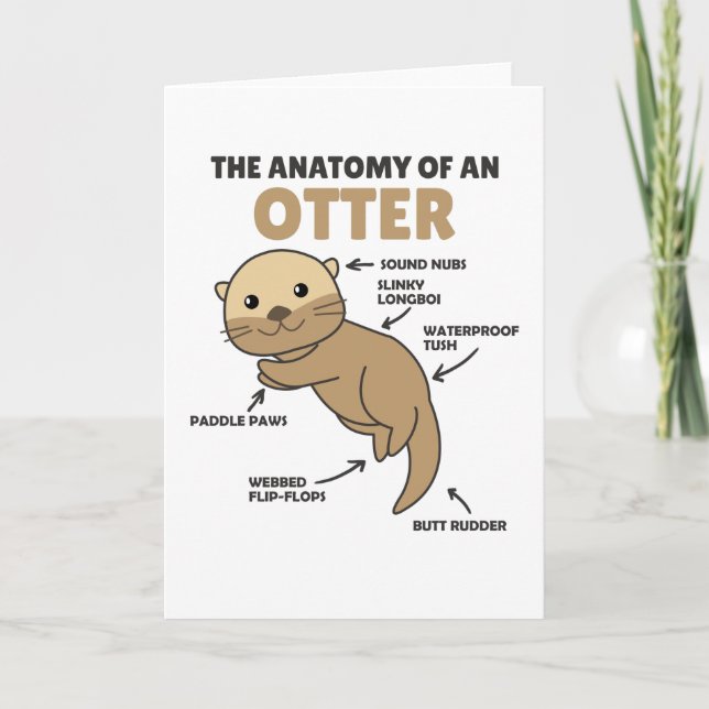 Carte Jolie Otter Explication Anatomie D'Une Otter (Devant)
