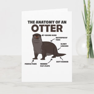 Carte Jolie Otter Explication Anatomie D'Une Otter