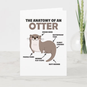 Carte Jolie Otter Explication Anatomie D'Une Otter