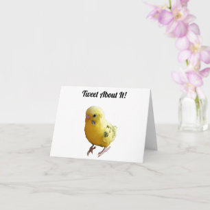 Carte Jolie Parakeet Jaune Amical Animaux de compagnie P