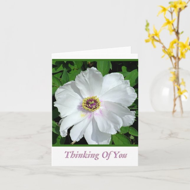 Carte Jolie Peine Blanche /Penser À Vous / Blanc À L'Int (Fleur jaune)
