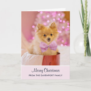 Carte Jolie photo de chien de Noël avec un nœud rose et 