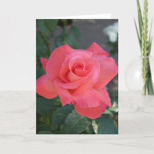 Carte Jolie rose rose