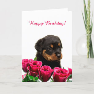 Carte Jolie Rottweiler Chiot Roses Rouge Joyeux Annivers
