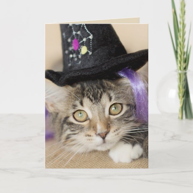 Carte Jolie sorcière de Kitten Halloween (Devant)
