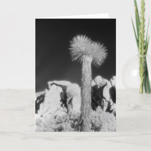 Carte Joshua Tree #1