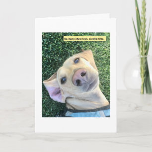 Carte Jouets Chew MillieGram