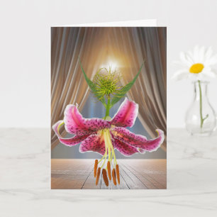 Carte Jouets jumeaux