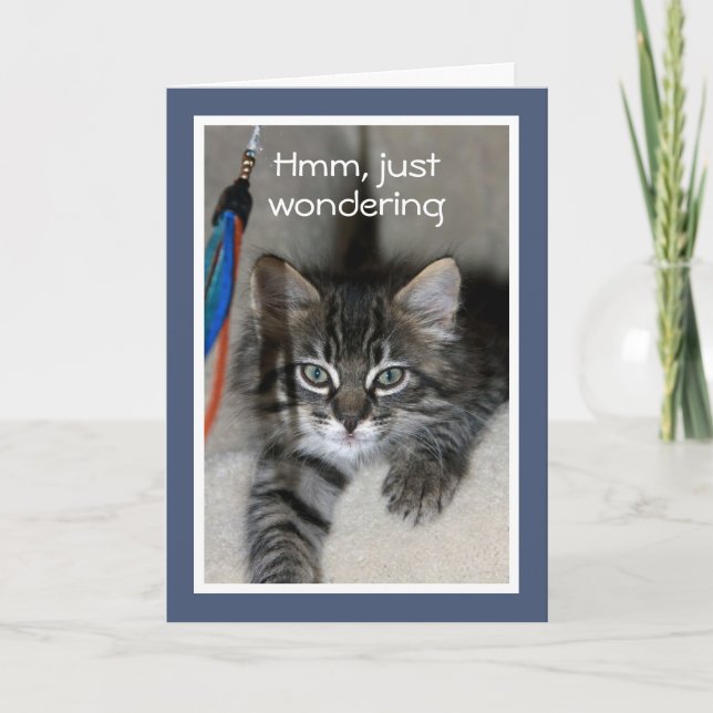 Carte Joueuse Kitten Anniversaire (Devant)