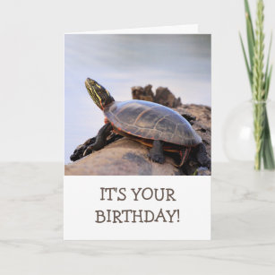 Carte Jour d'anniversaire de la tortue peinte