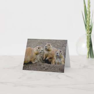 Carte Jour de Groundhog