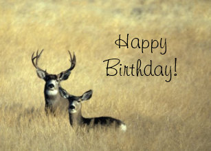 Invitations Faire Part Cartes Chasse Joyeux Anniversaire Zazzle Fr Invitations Faire Part Cartes Chasse Joyeux Anniversaire Zazzle Fr