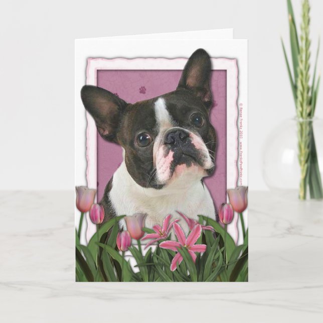 Carte Jour de mères - tulipes roses - Boston Terrier (Devant)