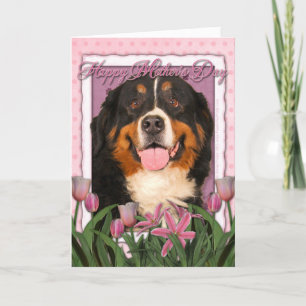 Carte Jour de mères - tulipes roses - chien de montagne