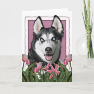 Carte Jour de mères - tulipes roses - chien de traîneau