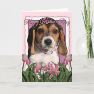 Carte Jour de mères - tulipes roses - chiot de beagle