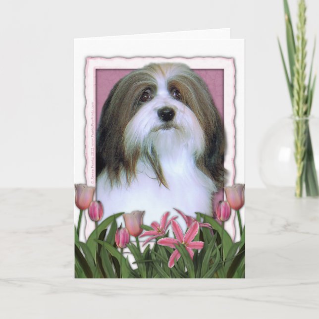 Carte Jour de mères - tulipes roses - Havanese (Devant)