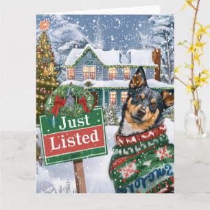 Carte Jour de Noël de l'australien Cattle Dog Festitor R