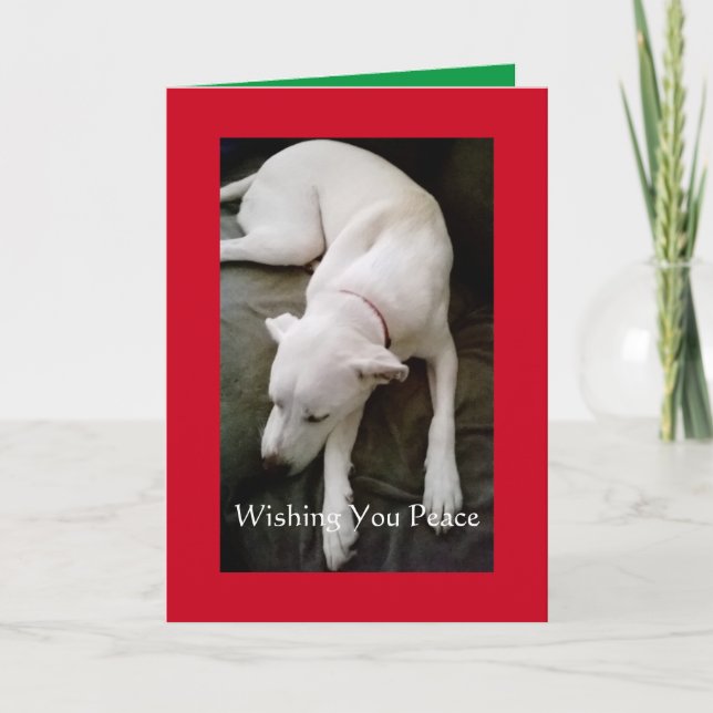 Carte Jour de Noël du chien blanc dormant paisible (Devant)