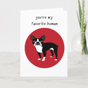 Carte Jour des Valentines de Boston Terrier