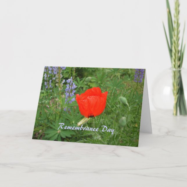 Carte Jour du Souvenir canadien - Coquelicot du 11 novem (Devant)
