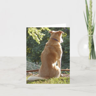 Carte Jour Golden Retriever Valentins