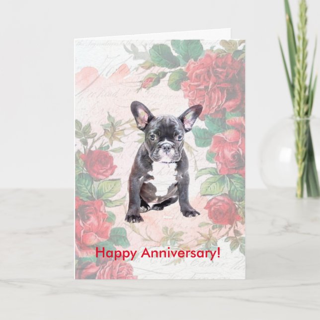 Carte Jour rose de l'anniversaire de Chien-taureau (Devant)