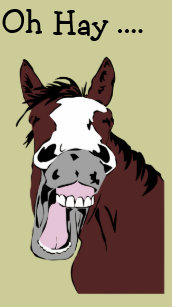 Cartes Drole Cheval D Anniversaire Zazzle Fr