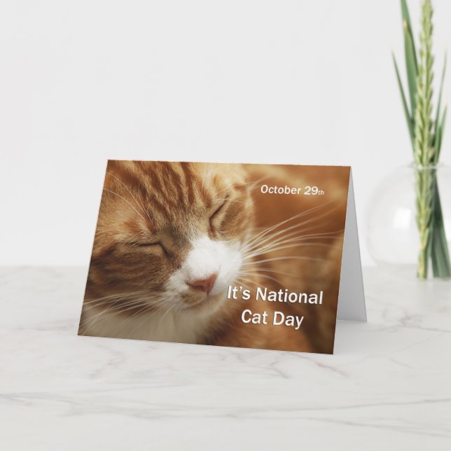Carte Journée nationale des chats 29 octobre (Devant)