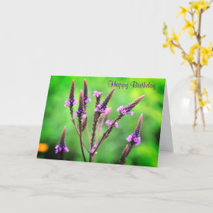 Carte Jovely Wild Vervain Fleur Anniversaire