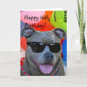 Carte Joyeuse Birthday
