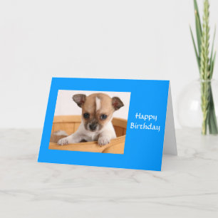 Carte Joyeuse Birthday Chihuahua