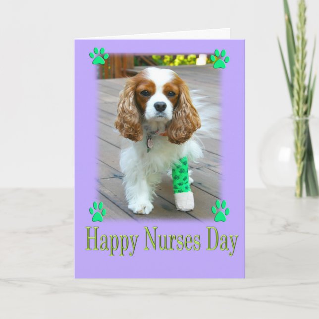 Carte Joyeuse fête des infirmières avec Cavalier King Ch (Devant)